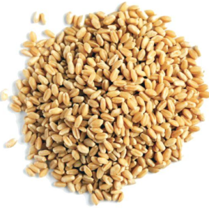 Семена пшеницы “Эко Про”, 400 гр